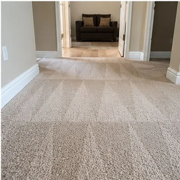 Carpet cleaning results in Docklands VIC